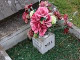 image of grave number 786035